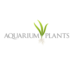 Aquarium Plants