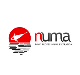 Numa